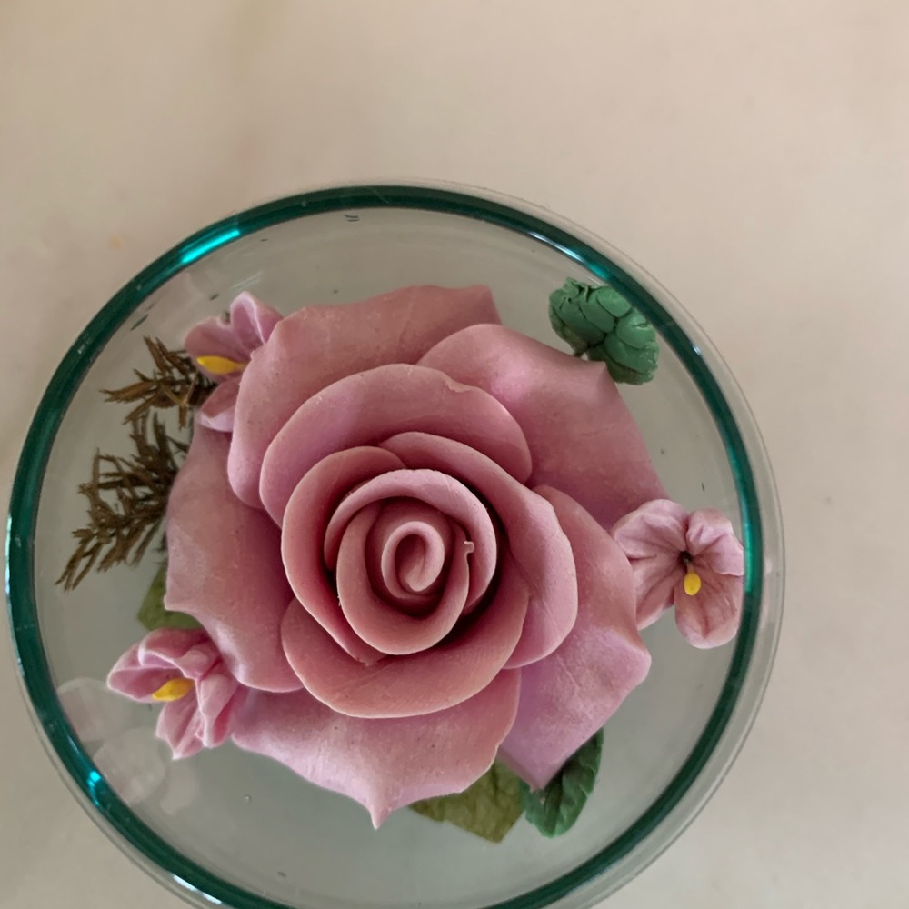 Rose flower